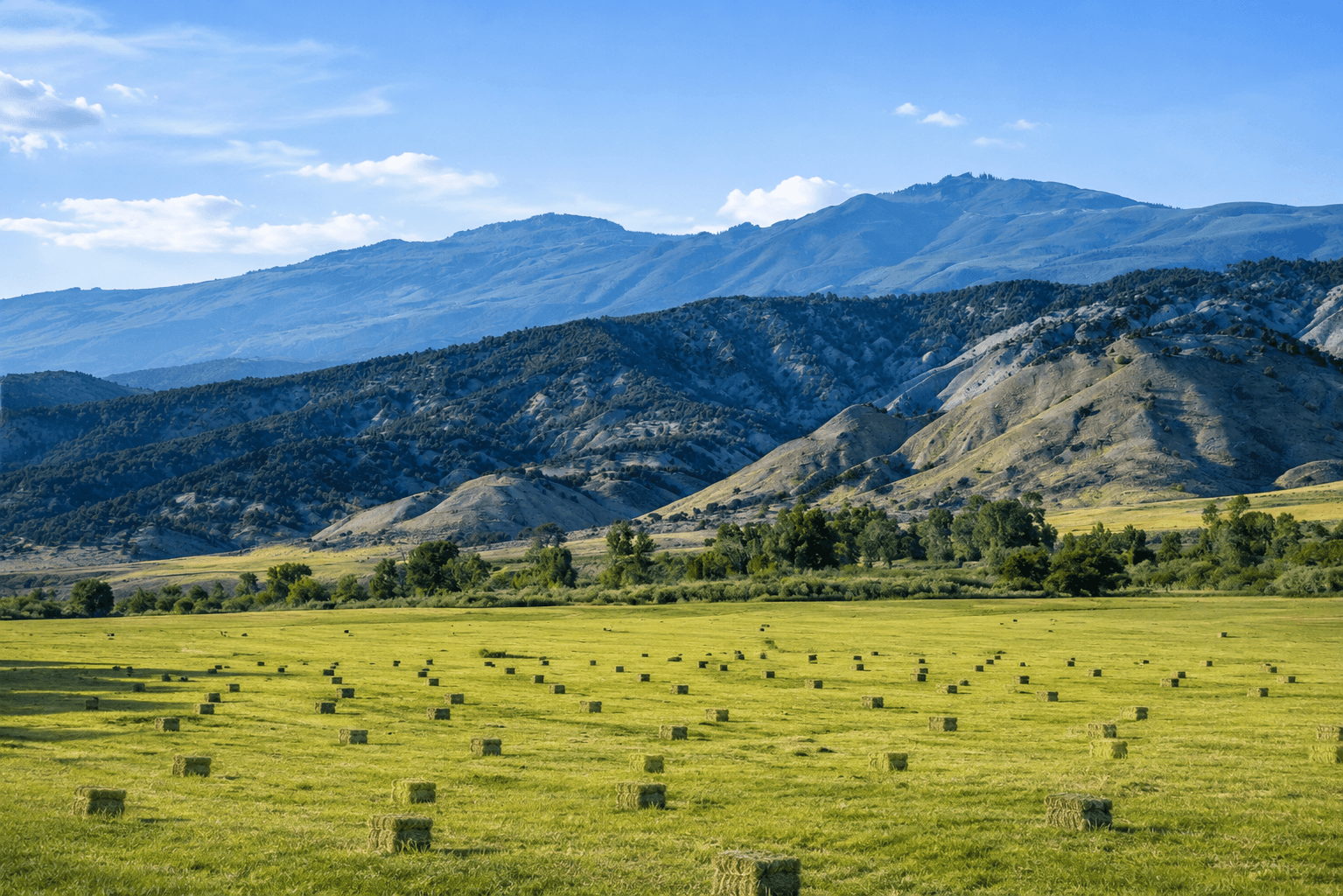 Hay bales in green field with mountain ridges near Eagle, Colorado